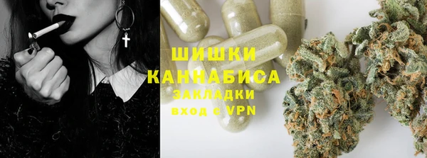 индика Лабытнанги